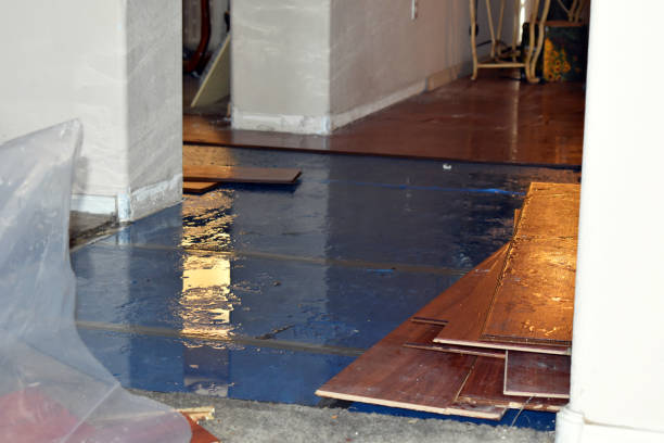 Professional Emergency Water Damage technician working in Bertram, TX